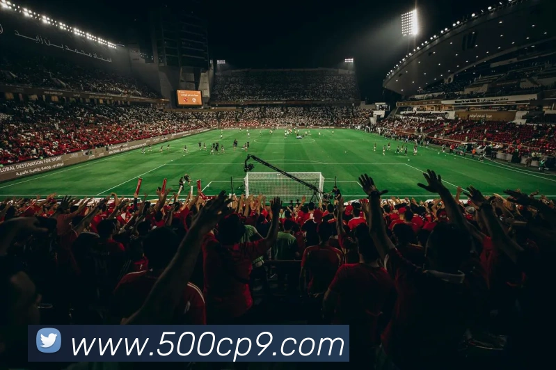 500彩票网发展历程